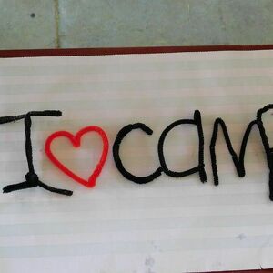 Fundraising Page: Brian Gannon